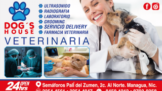free animals managua Veterinaria Dog's House