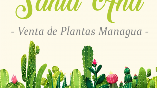 tiendas para comprar plantas huerto managua Vivero Santa Ana